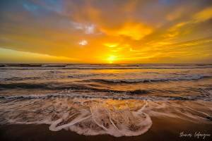 Thomas LAFARGUE - LAFARGUE THOMAS