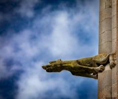 Julien SESIA - Julien-Sésia-Photographie©